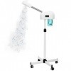 Vapeur professionnel pour le visage, vaporisateur nano ionique, fonction minuterie, appareil vapeur pour le visage, vaporizad