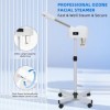 Vapeur professionnel pour le visage, vaporisateur nano ionique, fonction minuterie, appareil vapeur pour le visage, vaporizad