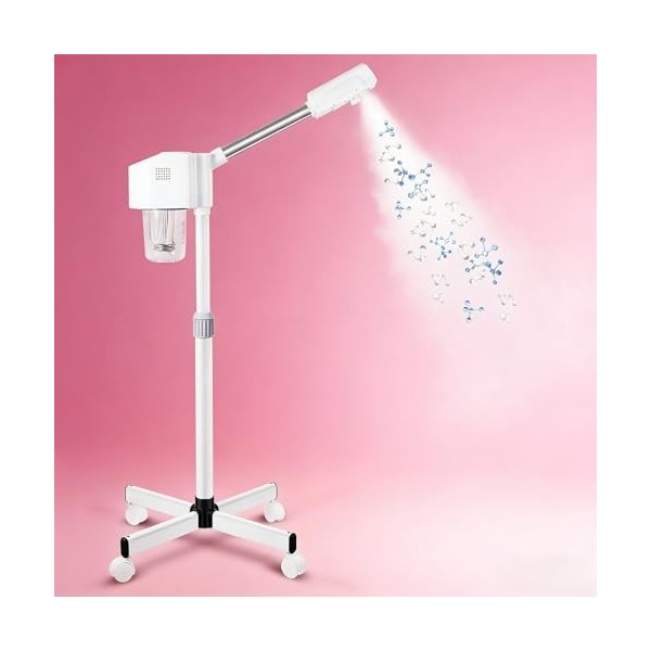 Vaporisateur vapeur ionique pour le visage, spa à la maison et au salon blanc 