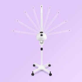 Vapeur facial professionnel avec brume réglable et minuterie, intensité de vapeur réglable et bras mobile