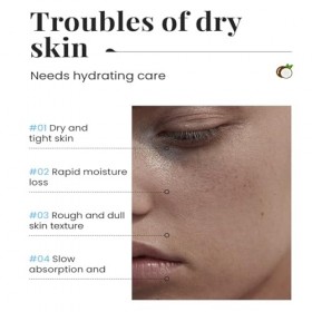 Lot de 2 sprays hydratants toniques pour le visage 150 ml x 2 pièces, hydratant, apaisant et réparateur pour la peau noix de