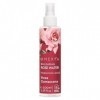 Omexya Rosa Damascena – Spray d’Eau de Rose Naturelle 100 ml avec Acide Hyaluronique – Tonique Visage & Brume Rafraîchissante...