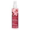Omexya Rosa Damascena – Spray d’Eau de Rose Naturelle 100 ml avec Acide Hyaluronique – Tonique Visage & Brume Rafraîchissante...