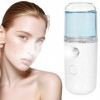 Nano Humidificateur Facial Mini Vapeur de Brume de Visage Portable Vaporisateur de Brume à Main, 30ml USB Vaporisateur Nanopo