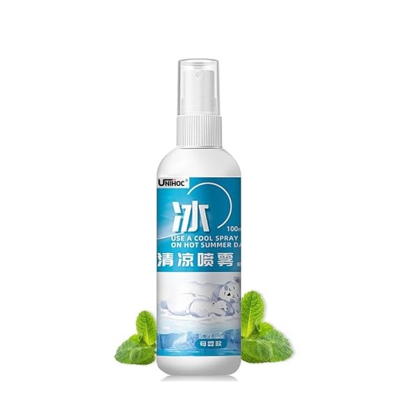 Cooling Mist Spray, 100 ML Spray Rafraîchissant pour Temps Chaud, Body Haze to Soothe Sunburn, La Menthe Naturelle, Rafraîchi