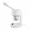 Appareil Vapeur Soins Visage Vapozone Esthetique Professionnel Vapozone Portable pour le Visage pour Salon Spa Maison Soins d