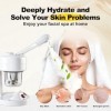 Appareil Vapeur Soins Visage Vapozone Esthetique Professionnel Vapozone Portable pour le Visage pour Salon Spa Maison Soins d