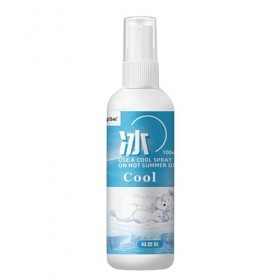 Spray Rafraîchissant, Cooling Mist Spray, 100ml Rafraîchissant Visage Corps, Brume Menthe Poivree Naturelle dété, Brume Rafr