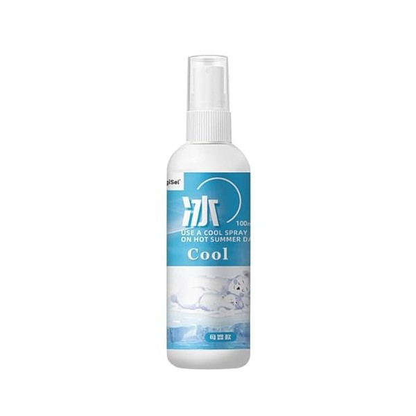Spray Rafraîchissant, Cooling Mist Spray, 100ml Rafraîchissant Visage Corps, Brume Menthe Poivree Naturelle dété, Brume Rafr