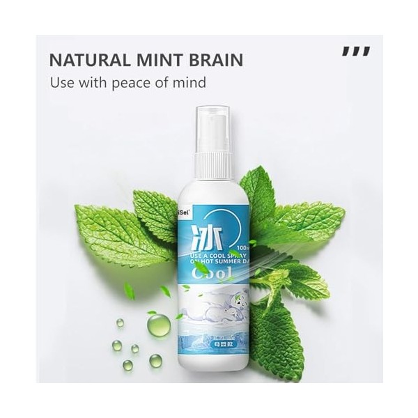 Spray Rafraîchissant, Cooling Mist Spray, 100ml Rafraîchissant Visage Corps, Brume Menthe Poivree Naturelle dété, Brume Rafr