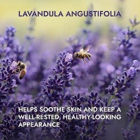 Alteya Organic Eau de Lavande - Vaporisateur 60 ml Bioglass - Certifié 100% bio USDA, vendu directement par le producteur et ...