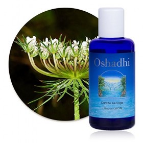 Hydrolat Eau florale : Carotte sauvage BIO - Daucus carota - 100 ml Lotions Toniques