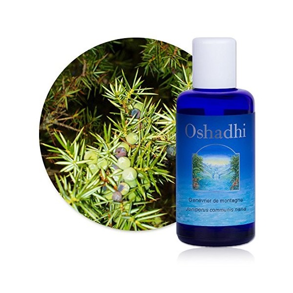 Hydrolat Eau florale : Genévrier de montagne BIO - Juniperus communis nana - 100 ml Lotions Toniques