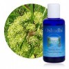 Hydrolat Eau florale : Angélique, racine BIO - Angelica archangelica - 100 ml Lotions Toniques