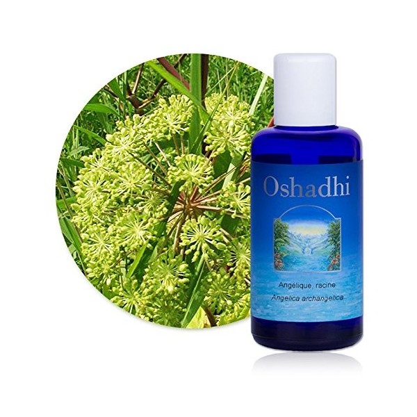 Hydrolat Eau florale : Angélique, racine BIO - Angelica archangelica - 100 ml Lotions Toniques