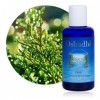 Hydrolat Eau florale : Cyprès BIO - Cupressus sempervirens - 100 ml Lotions Toniques