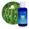 Hydrolat Eau florale : Eucalyptus globulus BIO - Eucalyptus globulus - 100 ml Lotions Toniques