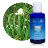 Hydrolat Eau florale : Eucalyptus globulus BIO - Eucalyptus globulus - 100 ml Lotions Toniques