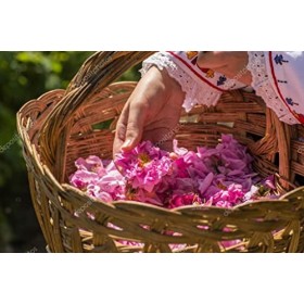 Bulgarian Rose Signature - Eau de Rose 100% Naturelle, 500ml, Bulgarie