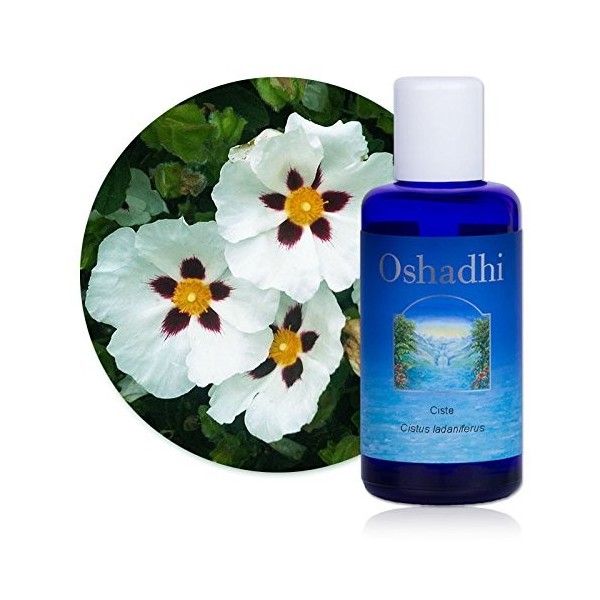 Hydrolat Eau florale : Ciste BIO - Cistus ladaniferus - 100 ml Lotions Toniques