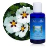 Hydrolat Eau florale : Ciste BIO - Cistus ladaniferus - 100 ml Lotions Toniques