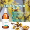 Snadi - Eau dHamamélis BIO | Hydrolat 500 ml | Sans Alcool | Pur, Naturel et Végan | Peau Hydratée et Sans Imperfections | A