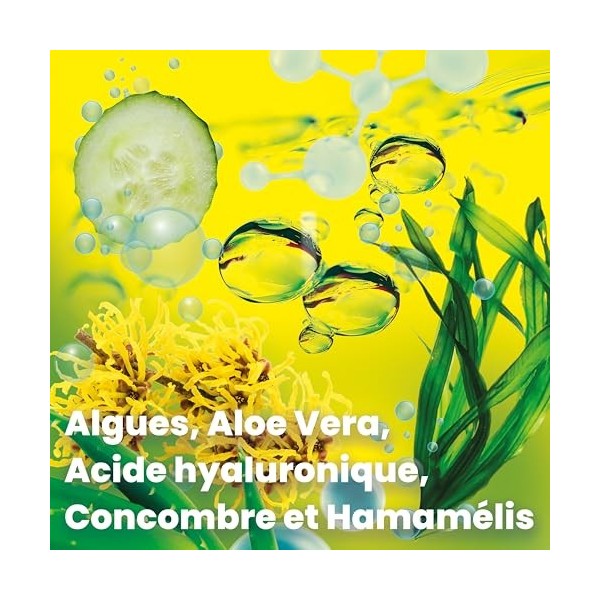 Bleu & Marine Bretania - Lotion Tonique Démaquillante 200ml | Nettoyant Doux | Tonifiant, Rééquilibrant Épiderme | Extraits d