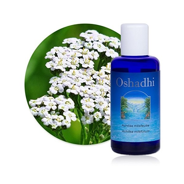 Hydrolat Eau florale : Achillée Millefeuille BIO - Achillea millefolium - 200 ml Lotions Toniques