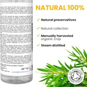 bleu & marine Bretania - Hydrolat dArbre à Thé Eau Florale 500 ml | Tonique Tea Tree | Soin Purifiant Visage et Corps | Anti