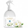 Hydrolat dEau de Jasmin Eau de Jasmin Nettoyant Peau Grasse Tonique Astringent Sébum Régulateur Maquillage Fixateur Effet Hy