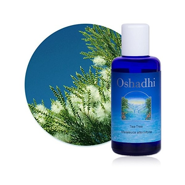 Hydrolat Eau florale : Tea-Tree BIO - Melaleuca alternifolia - 200 ml Lotions Toniques