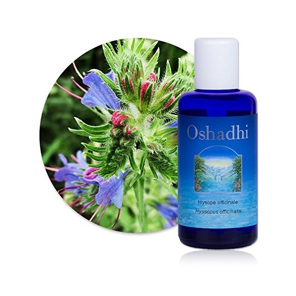 Hydrolat Eau florale : Hysope officinale BIO - Hyssopus officinalis - 500 ml