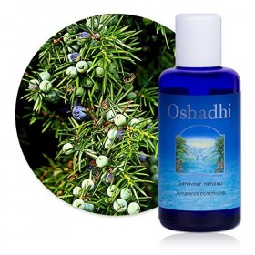 Hydrolat Eau florale : Genévrier, rameau BIO - Juniperus communis - 500 ml