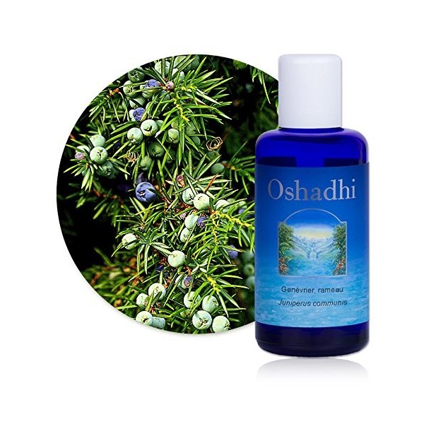 Hydrolat Eau florale : Genévrier, rameau BIO - Juniperus communis - 500 ml