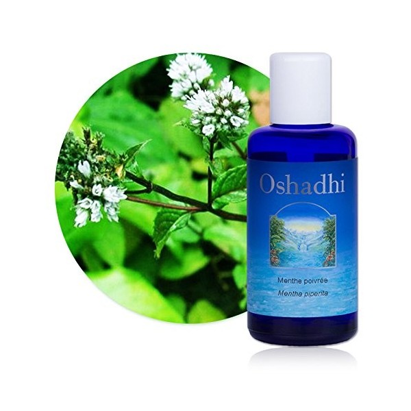 Hydrolat Eau florale : Menthe poivrée BIO - Mentha piperita - 500 ml Lotions Toniques