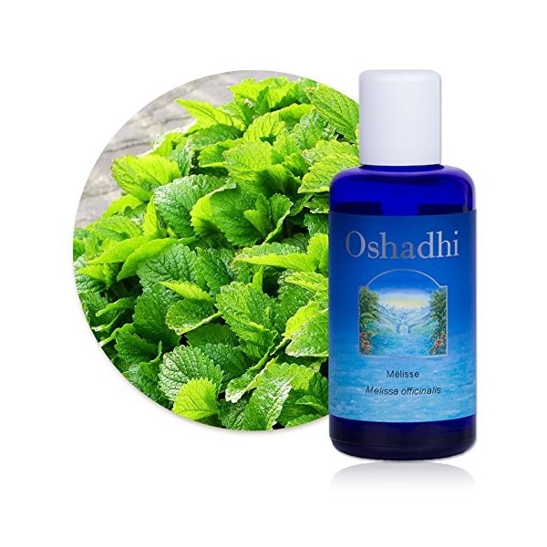 Hydrolat Eau florale : Mélisse BIO - Melissa officinalis - 500 ml Lotions Toniques