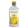 Dickinsons Original Witch Hazel Lot de 2 toniques perfectionneurs de pores 473 ml