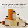 ONE THING Houttuynia Cordata Extrait 150 ml