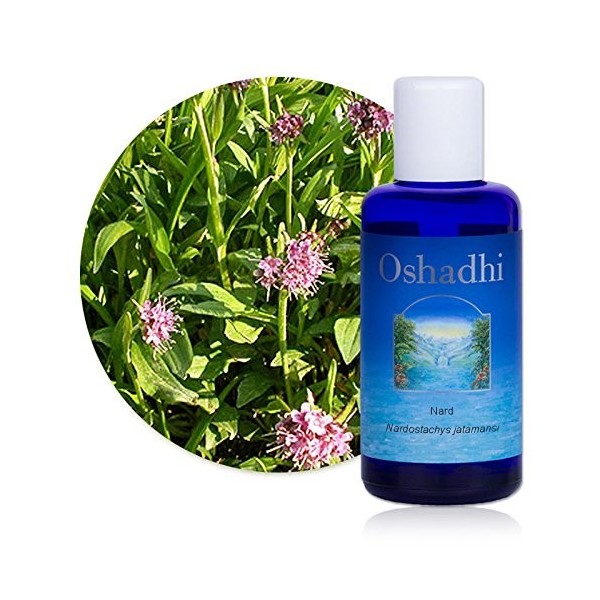 Hydrolat Eau florale : Nard - Nardostachys jatamansi - 500 ml Lotions Toniques