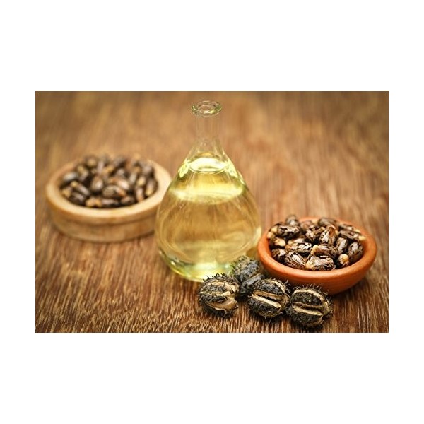 Rizinusöl Mascara für längere Wimpern - Kalt gepresst - Praktischer Wringer | Naturafro