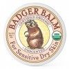 Badger - Healing Balm Unscented - 2 oz.