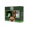 BULLDOG Skincare Kit dentretien de barbe original Vert