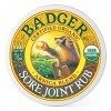 Badger JOINT RUB BALM Certified Organic Arnica Blend Sore, Achy Joint Relief 21g