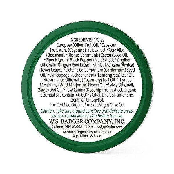 Badger JOINT RUB BALM Certified Organic Arnica Blend Sore, Achy Joint Relief 21g