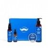 Kit Barbe au Naturel Homme de Big Moustache - Coffret Cadeau Homme - 4 Produits - Shampoing à barbe, Baume à Barbe, Huile à B