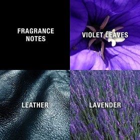 Liz Claiborne Curve Noir Cologne Spray pour Homme 4.2 oz 124.21 ml