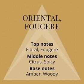 Colour Me Gold Homme - Fragrance for Men - 150ml Body Spray, by Milton-Lloyd