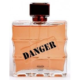 DANGER Eau de parfum pour homme 100 ml | en vaporisateur | longue durée | senteur Oriental & Boisé | idée cadeau pour lui
