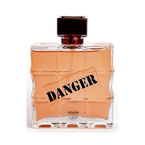 DANGER Eau de parfum pour homme 100 ml | en vaporisateur | longue durée | senteur Oriental & Boisé | idée cadeau pour lui