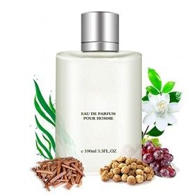100 Ml De Parfum Pour Homme, Parfum Naturel De Longue Durée, Cadeau De Parfum Masculin Doré Pour De Nombreuses Occasions, Par